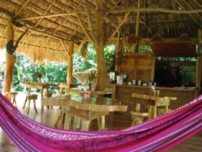 Blue Conga Hotel Puerto Viejo de Talamanca Buitenkant foto