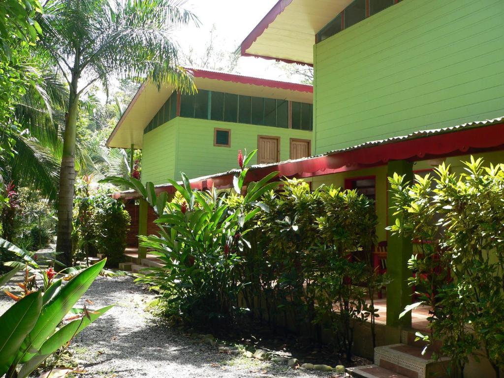 Blue Conga Hotel Puerto Viejo de Talamanca Buitenkant foto