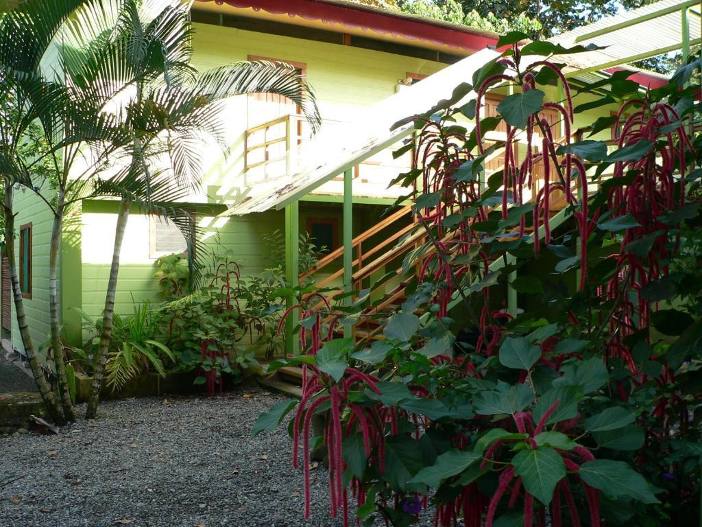 Blue Conga Hotel Puerto Viejo de Talamanca Buitenkant foto